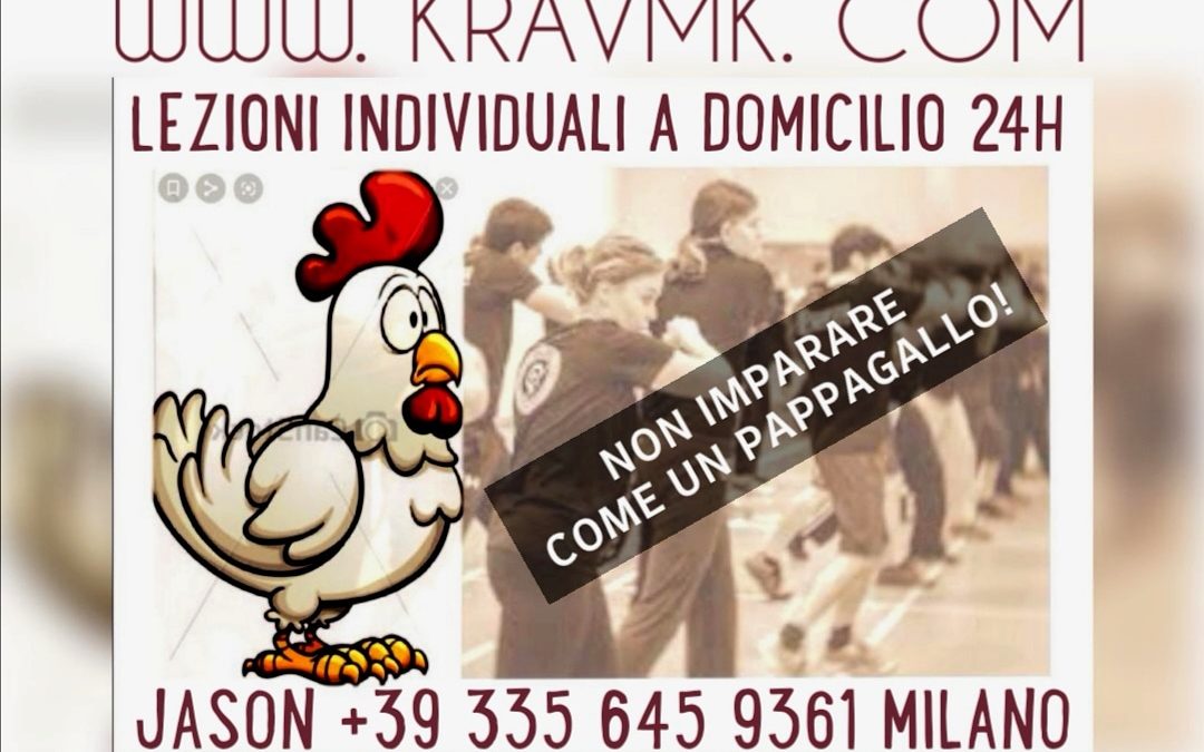 KRAV MAGA EVITA CORSI E LEZIONI PER PAPPAGALLI!  JASON +39 335 645 9361 MILANO 24H